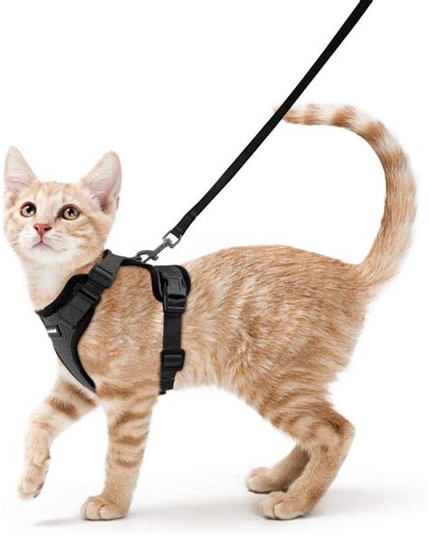 Cat Harness with Leash, Fits Average Cats Size measuringNeck Girth 14. . Rabbitgoo cat harness